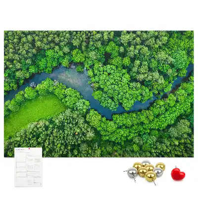 Tableau en liège déco Rivière dans la forêt