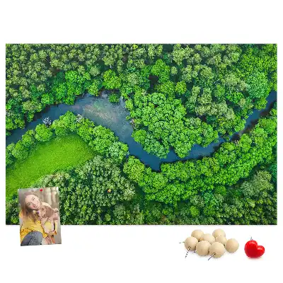 Tableau en liège déco Rivière dans la forêt