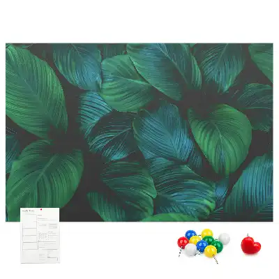 Tableau de liège Nature feuilles