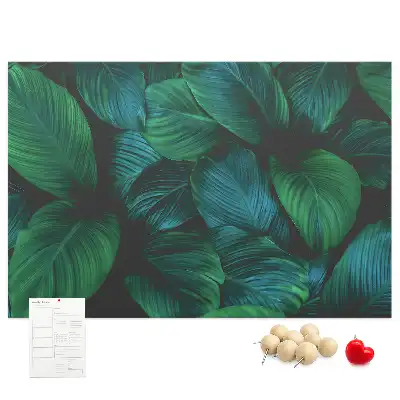 Tableau de liège Nature feuilles