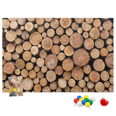 Tableau de liège Cernes d'arbres