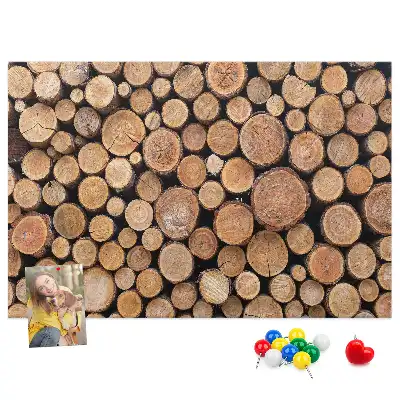 Tableau de liège Cernes d'arbres