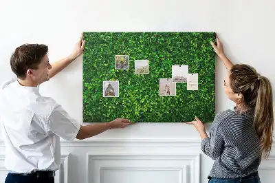 Tableau en liège déco Haie feuilles
