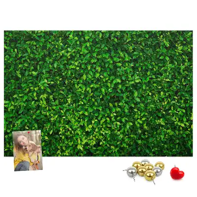 Tableau en liège déco Haie feuilles