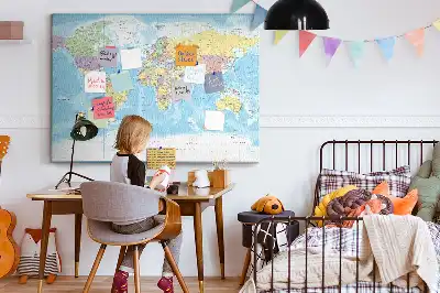 Tableau en liège déco Division administrative du monde