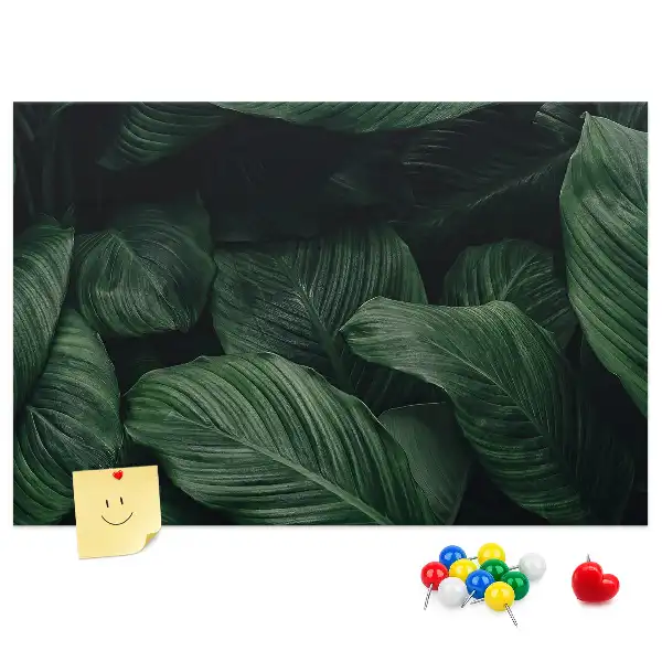 Tableau en liège déco Monstera tropicale
