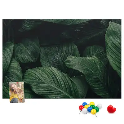 Tableau en liège déco Monstera tropicale