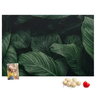 Tableau en liège déco Monstera tropicale