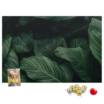 Tableau en liège déco Monstera tropicale