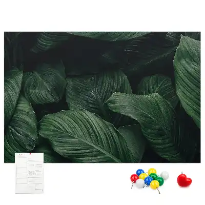 Tableau en liège déco Monstera tropicale