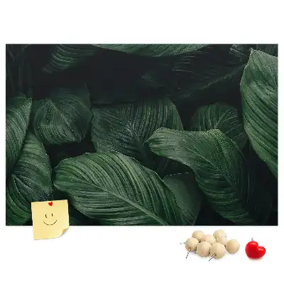 Tableau en liège déco Monstera tropicale