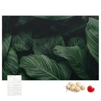 Tableau en liège déco Monstera tropicale