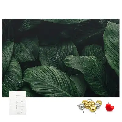 Tableau en liège déco Monstera tropicale