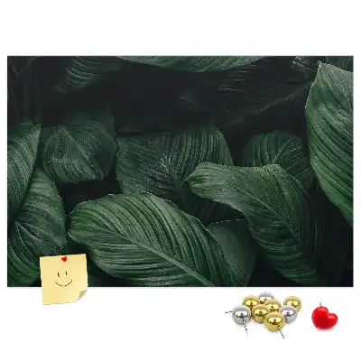 Tableau en liège déco Monstera tropicale