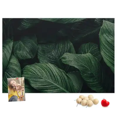 Tableau en liège déco Monstera tropicale