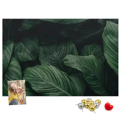 Tableau en liège déco Monstera tropicale