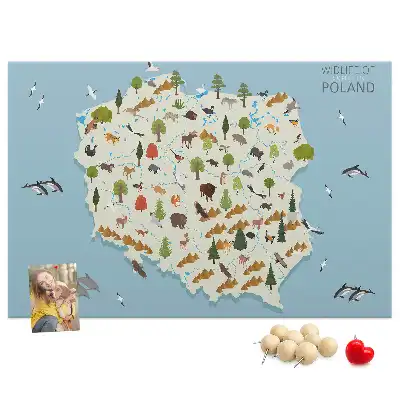 Tableau d’affichage en liège Carte des animaux de la Pologne