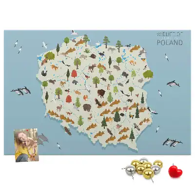 Tableau d’affichage en liège Carte des animaux de la Pologne