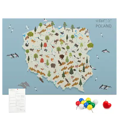 Tableau d’affichage en liège Carte des animaux de la Pologne