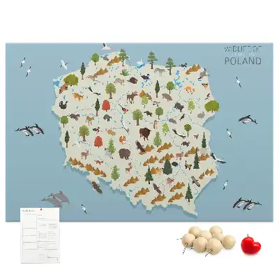 Tableau d’affichage en liège Carte des animaux de la Pologne