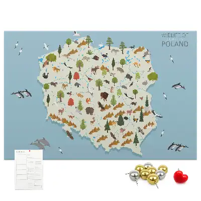 Tableau d’affichage en liège Carte des animaux de la Pologne