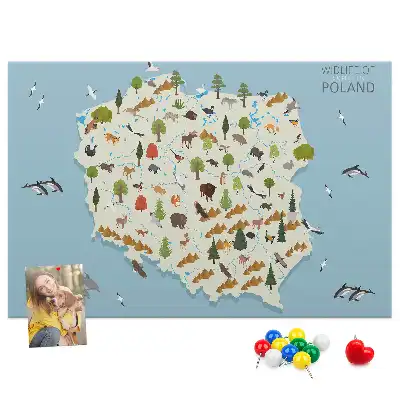 Tableau d’affichage en liège Carte des animaux de la Pologne