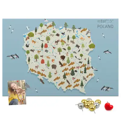 Tableau d’affichage en liège Carte des animaux de la Pologne