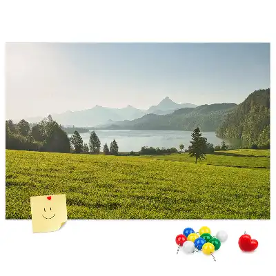 Tableau en liège déco Montagnes champ