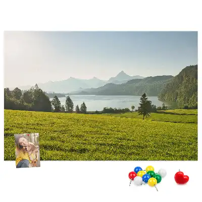 Tableau en liège déco Montagnes champ