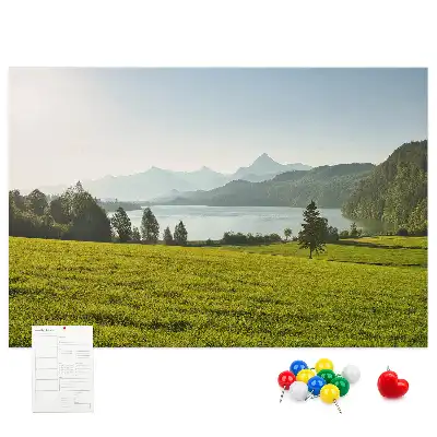 Tableau en liège déco Montagnes champ
