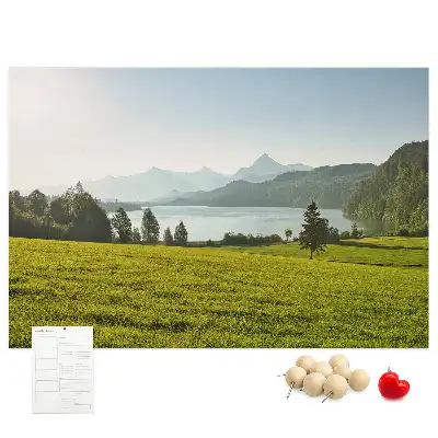 Tableau en liège déco Montagnes champ