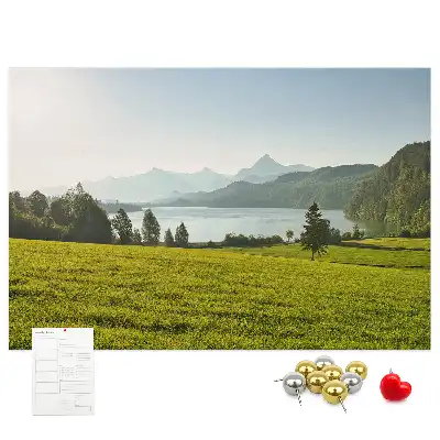 Tableau en liège déco Montagnes champ