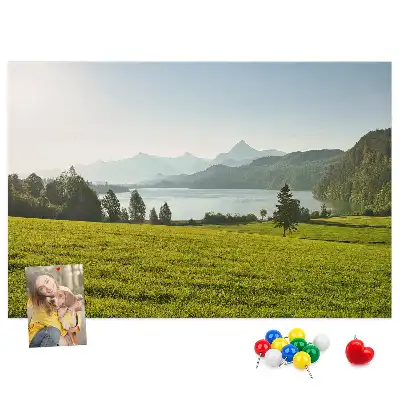 Tableau en liège déco Montagnes champ