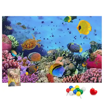 Tableau de liège Vie sous-marine