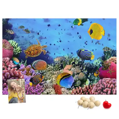 Tableau de liège Vie sous-marine