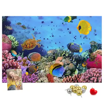Tableau de liège Vie sous-marine