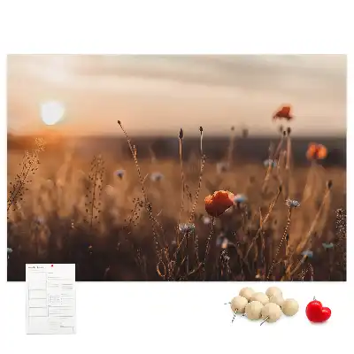 Tableau d’affichage en liège Champ lever du soleil