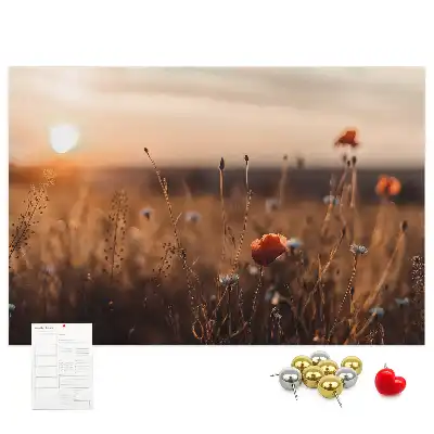 Tableau d’affichage en liège Champ lever du soleil