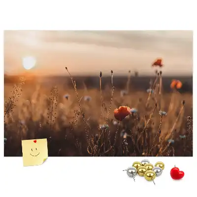 Tableau d’affichage en liège Champ lever du soleil