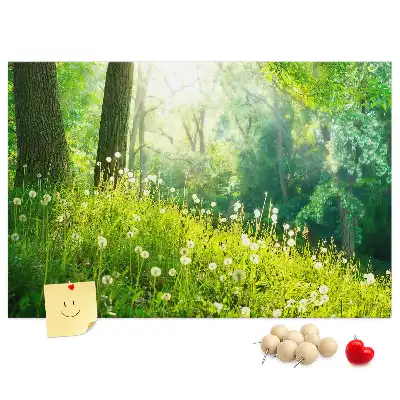 Tableau en liège déco Nature printanière