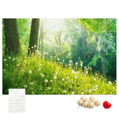 Tableau en liège déco Nature printanière