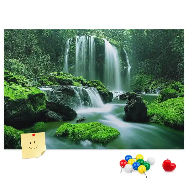 Tableau de liège Cascade parmi la mousse