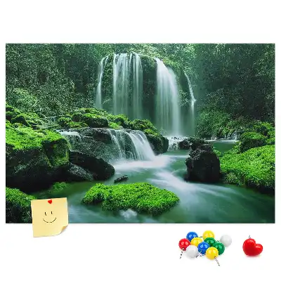 Tableau de liège Cascade parmi la mousse