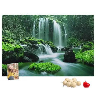 Tableau de liège Cascade parmi la mousse