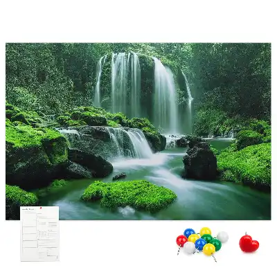 Tableau de liège Cascade parmi la mousse