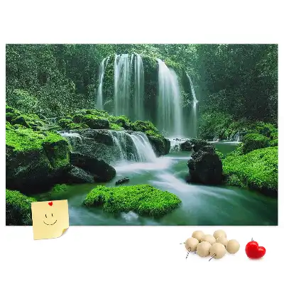 Tableau de liège Cascade parmi la mousse