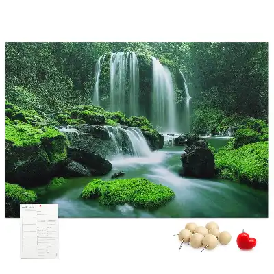 Tableau de liège Cascade parmi la mousse