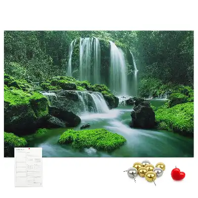 Tableau de liège Cascade parmi la mousse