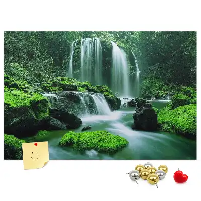 Tableau de liège Cascade parmi la mousse