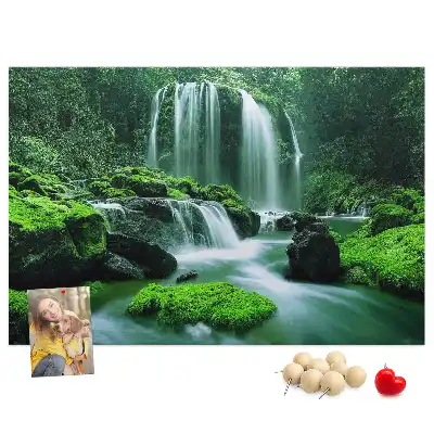 Tableau de liège Cascade parmi la mousse